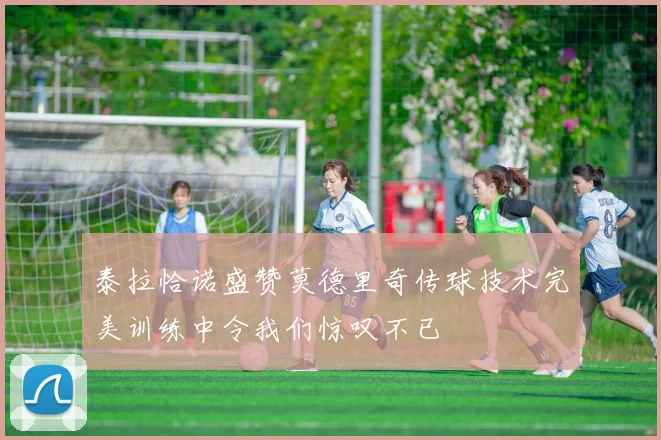 泰拉恰诺盛赞莫德里奇传球技术完美训练中令我们惊叹不已
